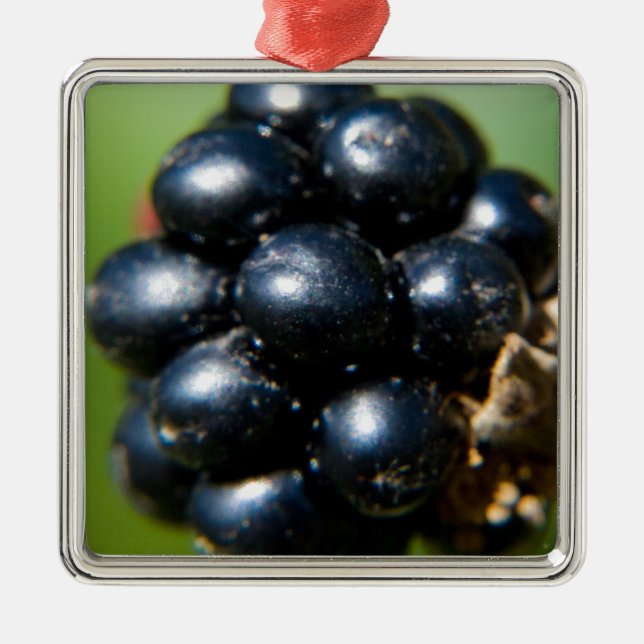 BlackBerry Silbernes Ornament (Vorne)