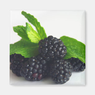 BlackBerry und Minze Magnet