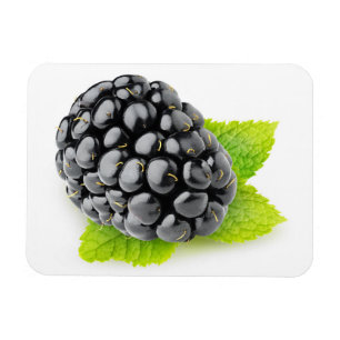 BlackBerry und Minze Magnet