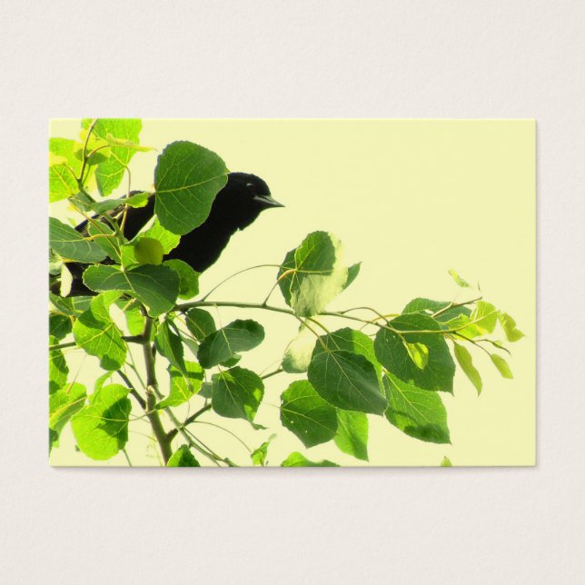 Blackbird ATC (Vorderseite)
