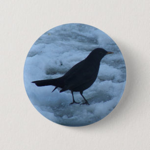 Blackbird auf Eis Button