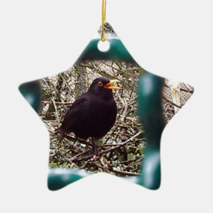 Blackbird Bars, Animal, Birds, Black Bird Keramikornament