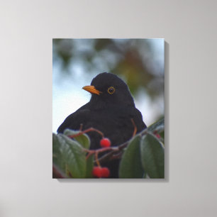 Blackbird Leinwanddruck