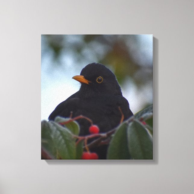 Blackbird Leinwanddruck (Vorderseite)