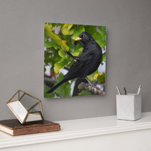 Blackbird Quadratische Wanduhr
