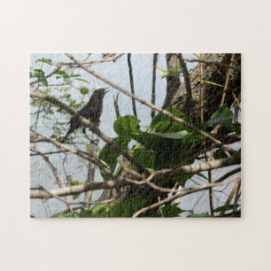 Blackbird Singer Puzzle Puzzle