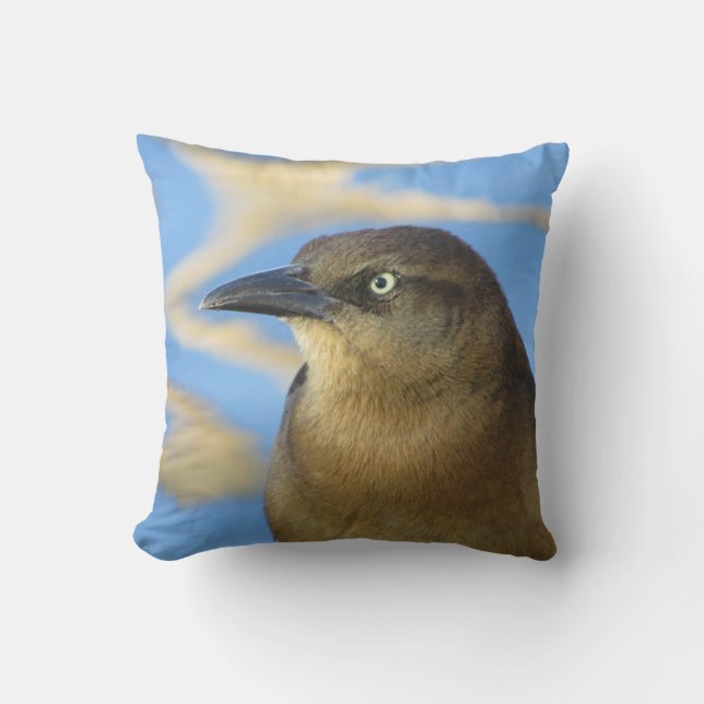 Blackbird Stare Foto mit Blauem Wasser Kissen (Vorderseite)