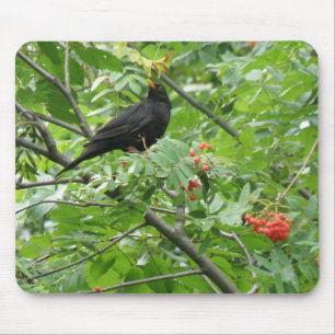 Blackbird und Berries Mousepad