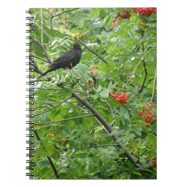 Blackbird und Berries Notebook Notizblock (Vorderseite)