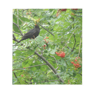 Blackbird und Berries Notepad Notizblock