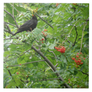 Blackbird und Berries Tile Fliese
