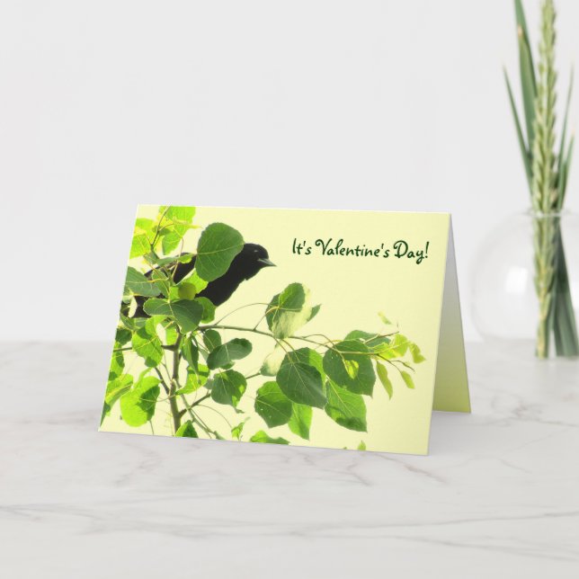 Blackbird Valentine Feiertagskarte (Vorderseite)