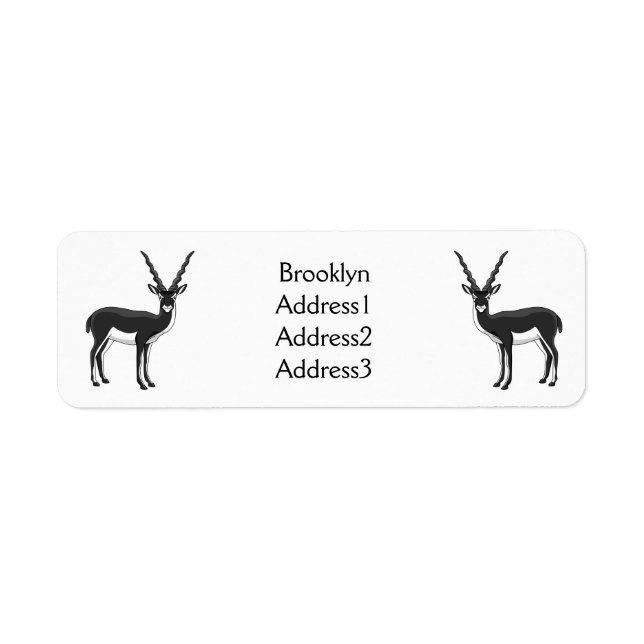 Blackbuck-Antelope-Abbildung (Vorne)