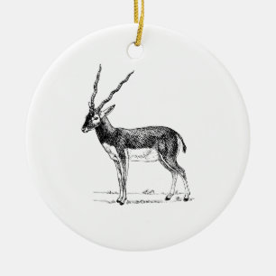 Blackbuck Antilope Keramik Ornament