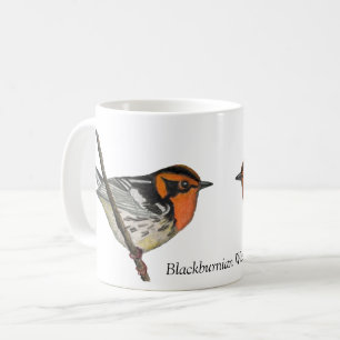 Blackburnian Warbler White Coffee Cup Kaffeetasse