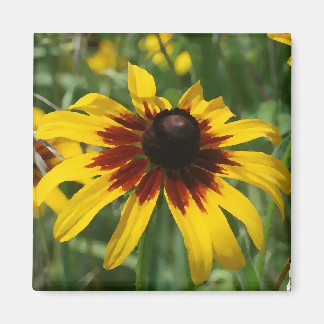 Blackeyed Susan Magnet (Vorne)