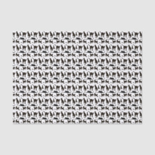 Blackie das schwarze Katzen-Seidenpapier Seidenpapier