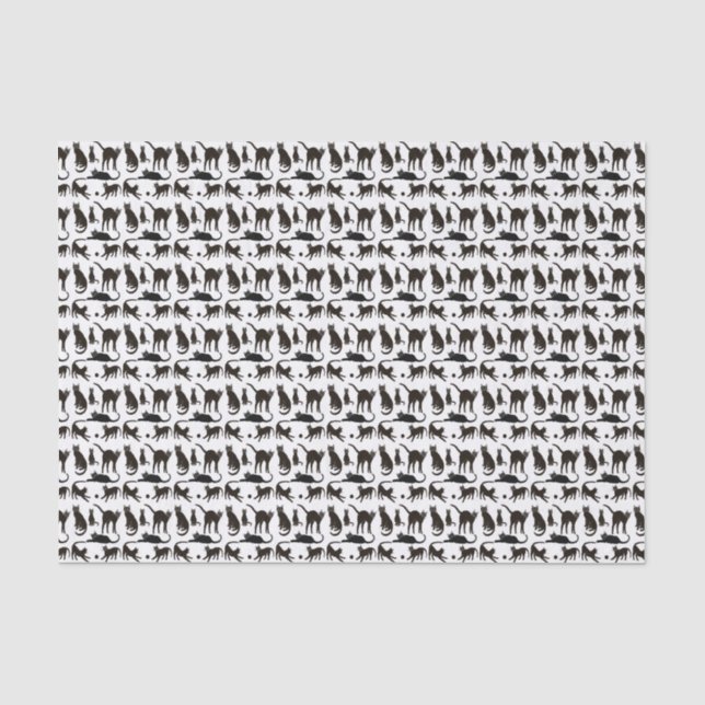 Blackie das schwarze Katzen-Seidenpapier Seidenpapier (Vorderseite)