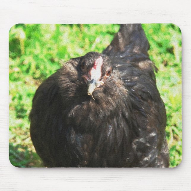 Blackie Mousepad (Vorne)