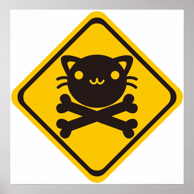 BlackJack(Cat) Poster (Vorne)