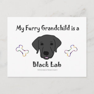 BLackLab Postkarte