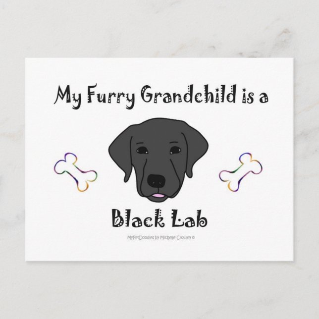 BLackLab Postkarte (Vorderseite)