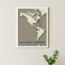 Blackpoll Warbler Migration Map - Minimalistisch