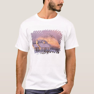 Blackrock Cottage, Glencoe, Highlands, Schottland T-Shirt