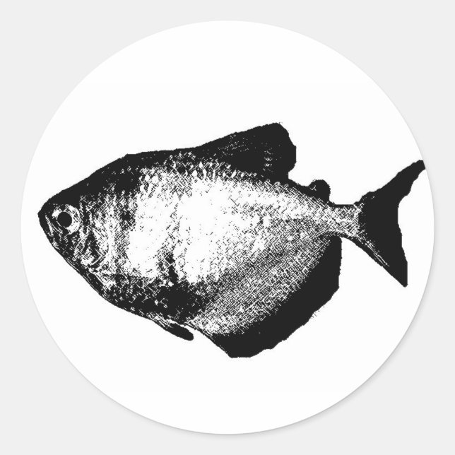 Blackskirt Tetra Runder Aufkleber (Vorderseite)