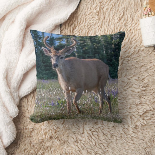 Blacktail Deer Buck | Olympischer Nationalpark Kissen (Decke)