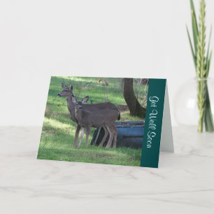 Blacktail Deer s'en sortent bien bientôt Carte de 