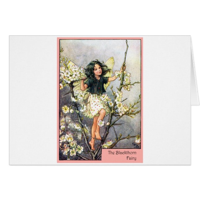 Blackthorn Fairy (Vorderseite (Horizontal))