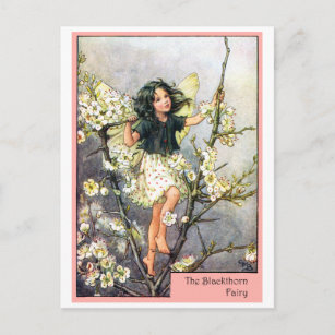 Blackthorn Fairy Postkarte