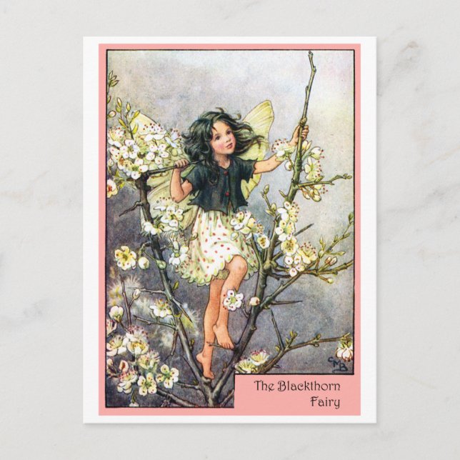 Blackthorn Fairy Postkarte (Vorderseite)