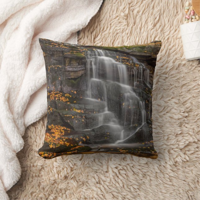 Blackwater Falls Staat Park Kissen (Decke)