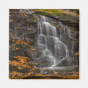 Blackwater Falls Staat Park Magnet