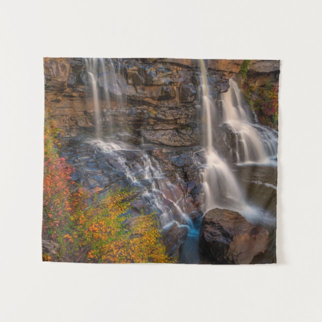 Blackwater Falls Staat Park | West Virginia Wandteppich (Vorderseite (Horizontal))