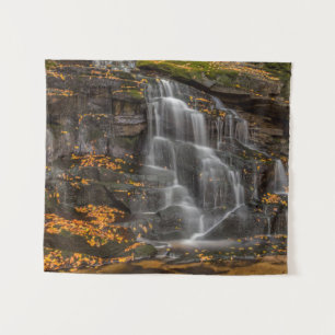 Blackwater Falls State Park Wandteppich