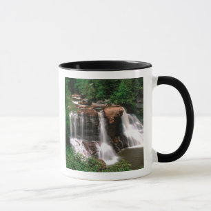 Blackwater Falls, West Virginia, landschaftlich sc Tasse