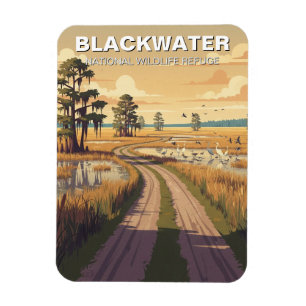 Blackwater National Wildlife Refuge Maryland Magnet