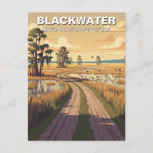 Blackwater National Wildlife Refuge Maryland Postkarte