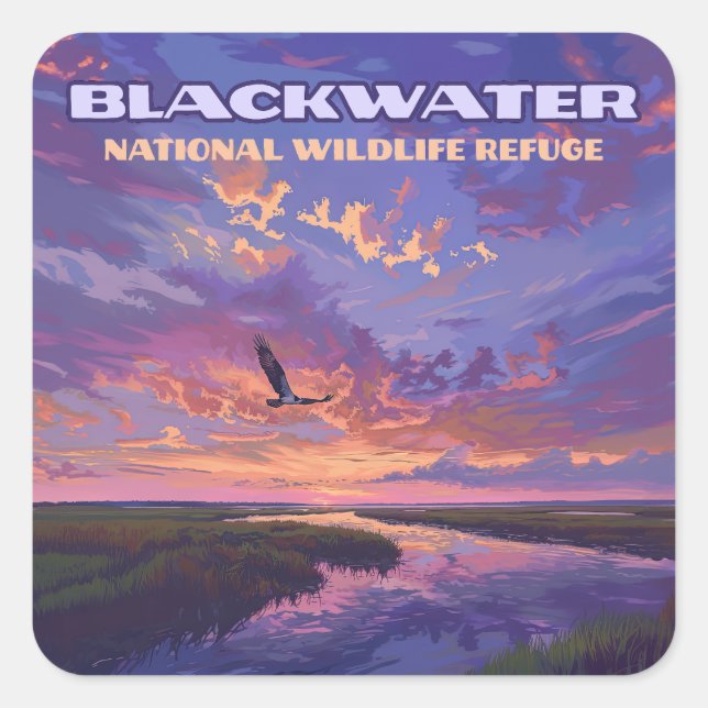Blackwater National Wildlife Refugium Park Marylan Quadratischer Aufkleber (Vorderseite)