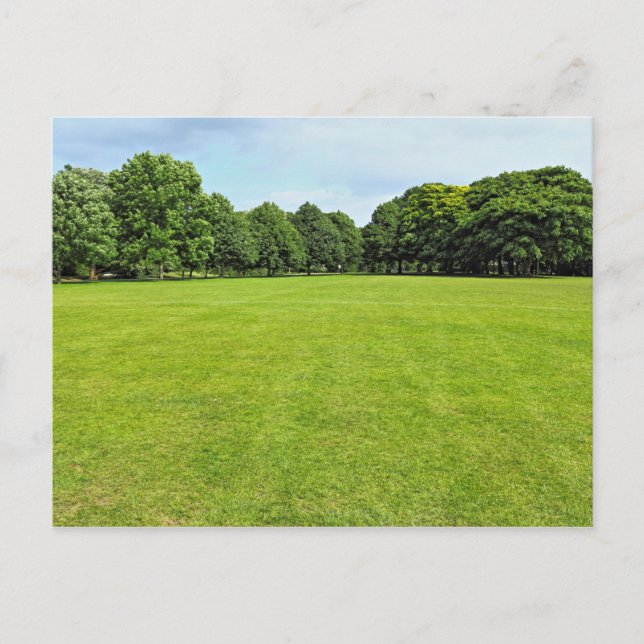 Blackweir Felder, Bute Park, Cardiff, Wales. Postkarte (Vorderseite)
