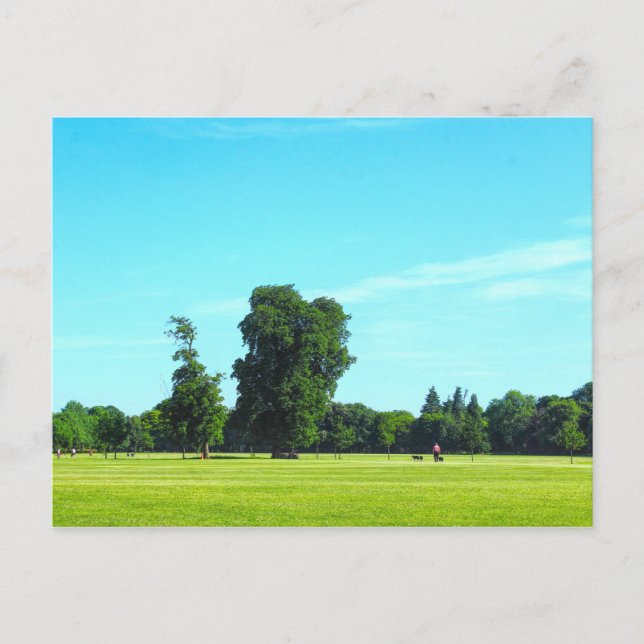 Blackweir Fields. Bute Park, Cardiff, Wales. Postkarte (Vorderseite)