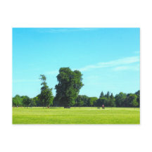 Blackweir Fields. Bute Park, Cardiff, Wales.