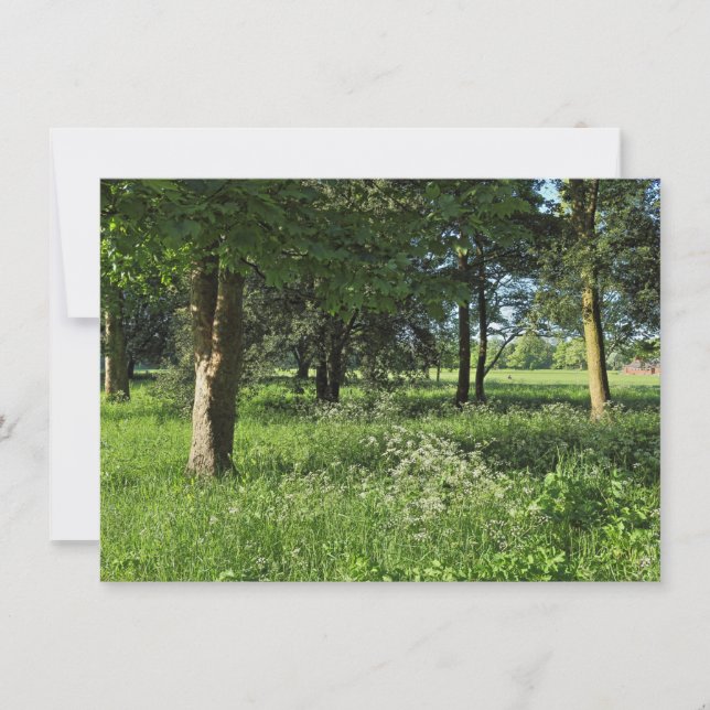 Blackweir Woods, Bute Park, Cardiff Wales Karte (Vorderseite)