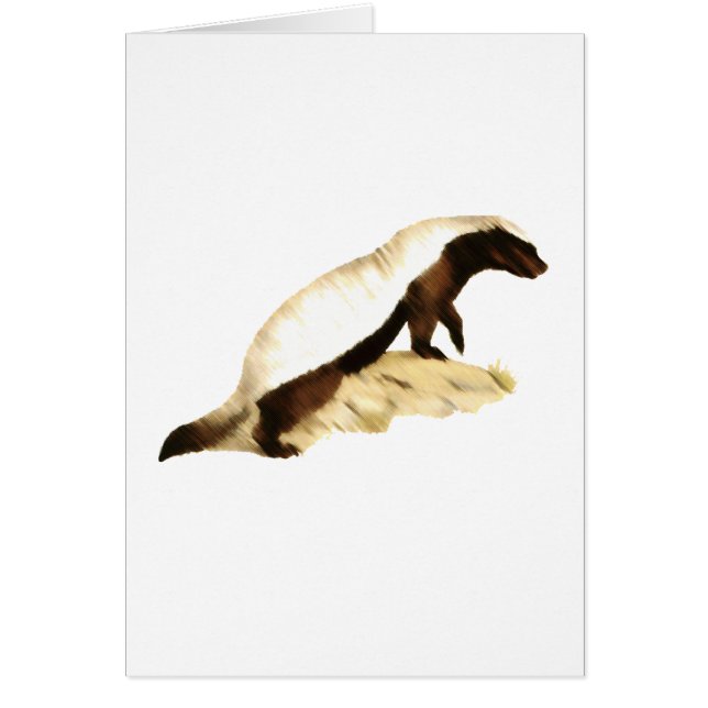 blaireau de miel (Devant)