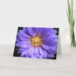 Blanc À L'Intérieur De Plutôt Violet Floral Élégan