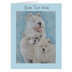 blanc akita long manteau chien portrait art origin