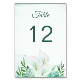 Blanc Calla Lily Floral Tableau Numéro Cartes